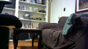 Hardworkertn  21-07-2021 video strip